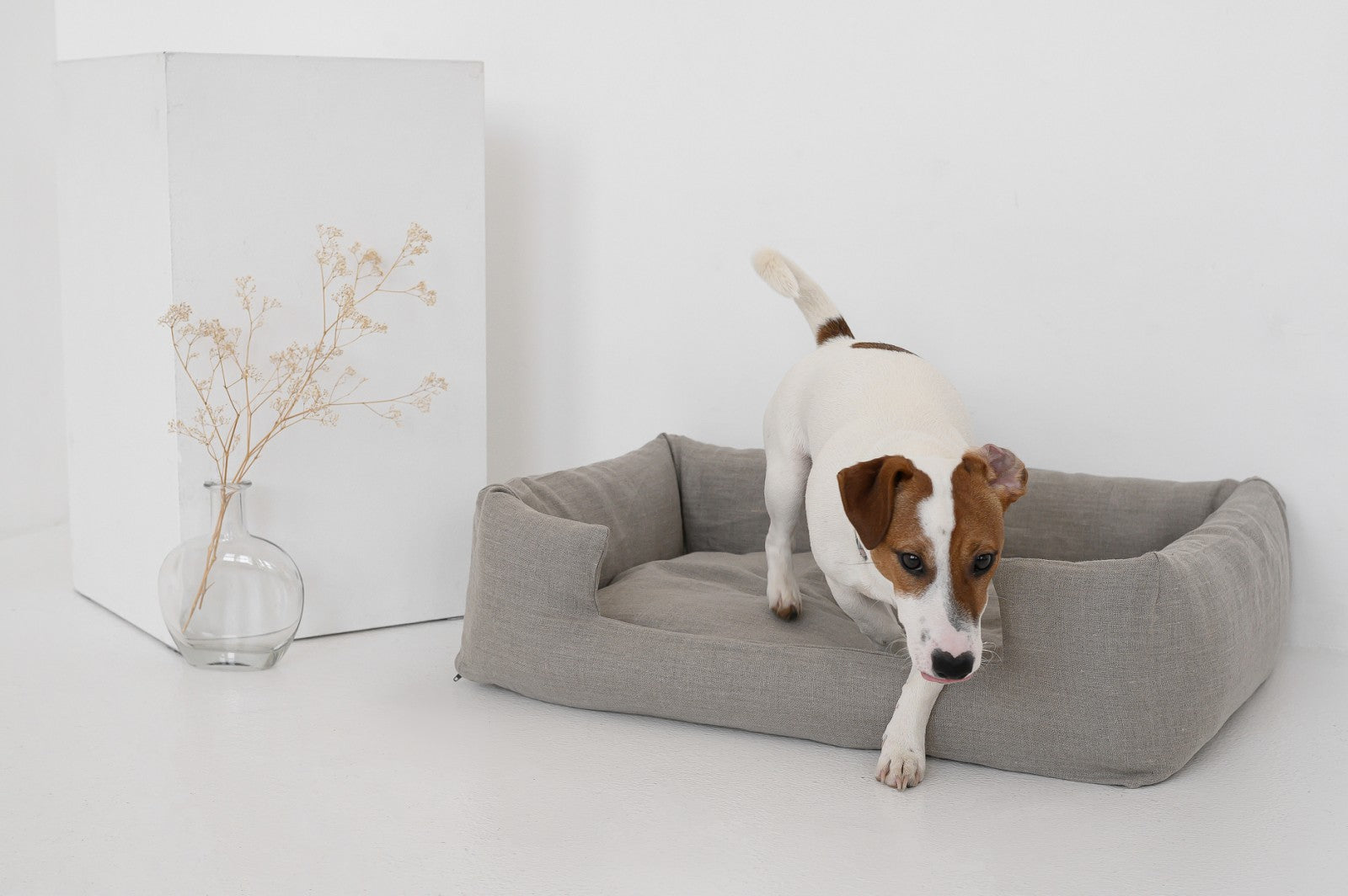 Using Hemp Pet Bedding: Enhancing Your Pet's Wellness and Joy