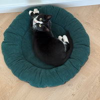 Round Hemp Green Pet Bed Cot Filled Organic Hemp Fiber in soft green 100% Cotton Velvet fabric house eco-friendly Gift for cat dog