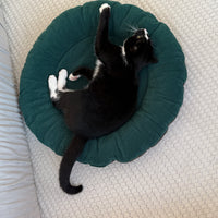 Round Hemp Green Pet Bed Cot Filled Organic Hemp Fiber in soft green 100% Cotton Velvet fabric house eco-friendly Gift for cat dog
