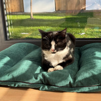 Hemp Pet Mat Pad Cushion with Removable Washable Cotton Green Velvet Cover filled Organic Hemp Fiber Filler