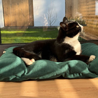 Hemp Pet Mat Pad Cushion with Removable Washable Cotton Green Velvet Cover filled Organic Hemp Fiber Filler