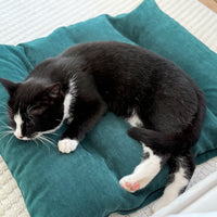 Hemp Pet Mat Pad Cushion with Removable Washable Cotton Green Velvet Cover filled Organic Hemp Fiber Filler