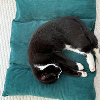 Hemp Pet Mat Pad Cushion with Removable Washable Cotton Green Velvet Cover filled Organic Hemp Fiber Filler