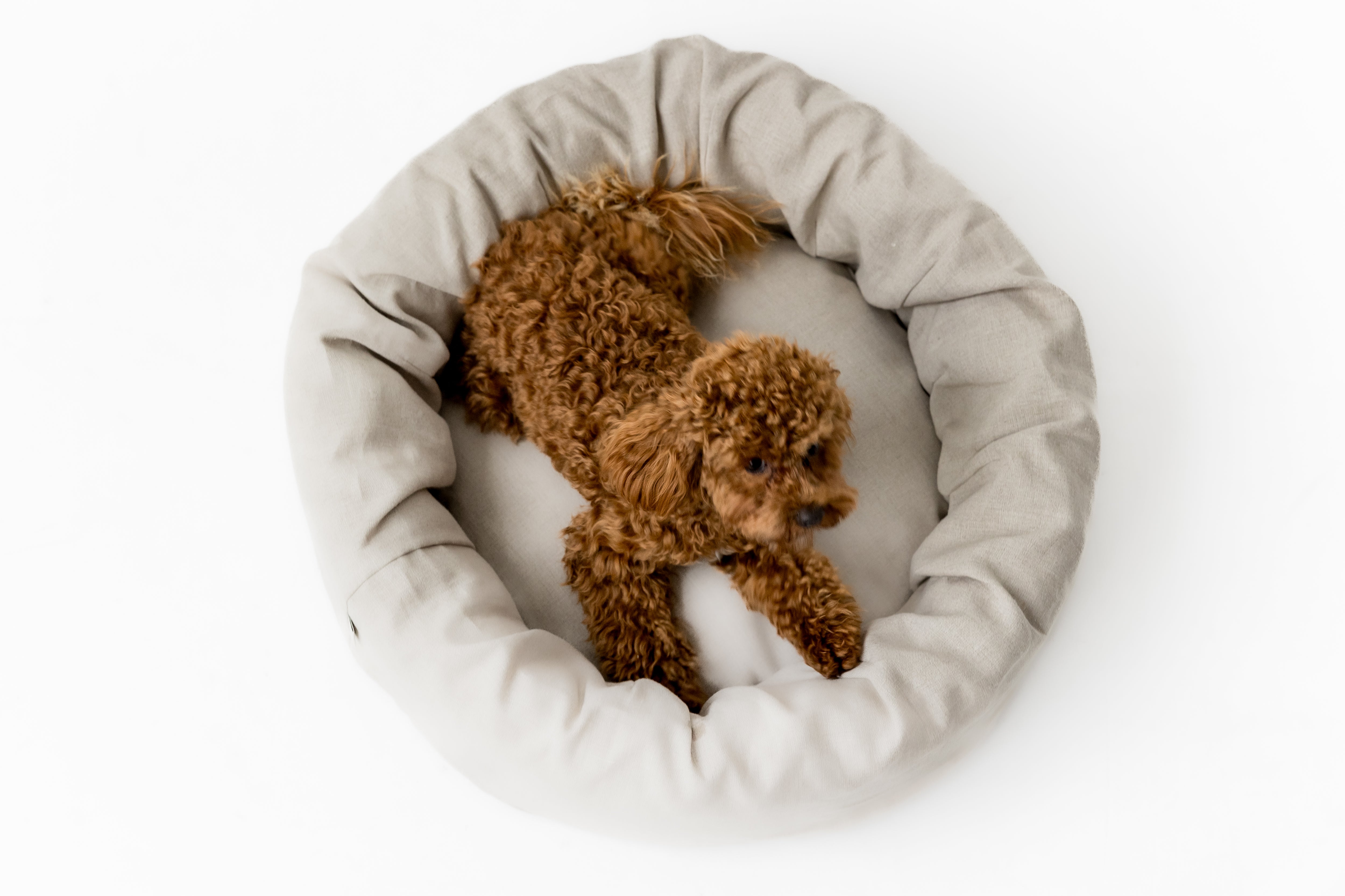 Unique Round Hemp Linen Pet Bed Cot with Removable Washable Natural light yellow Linen Cover Filled Organic Hemp Fiber eco-friendly Gift