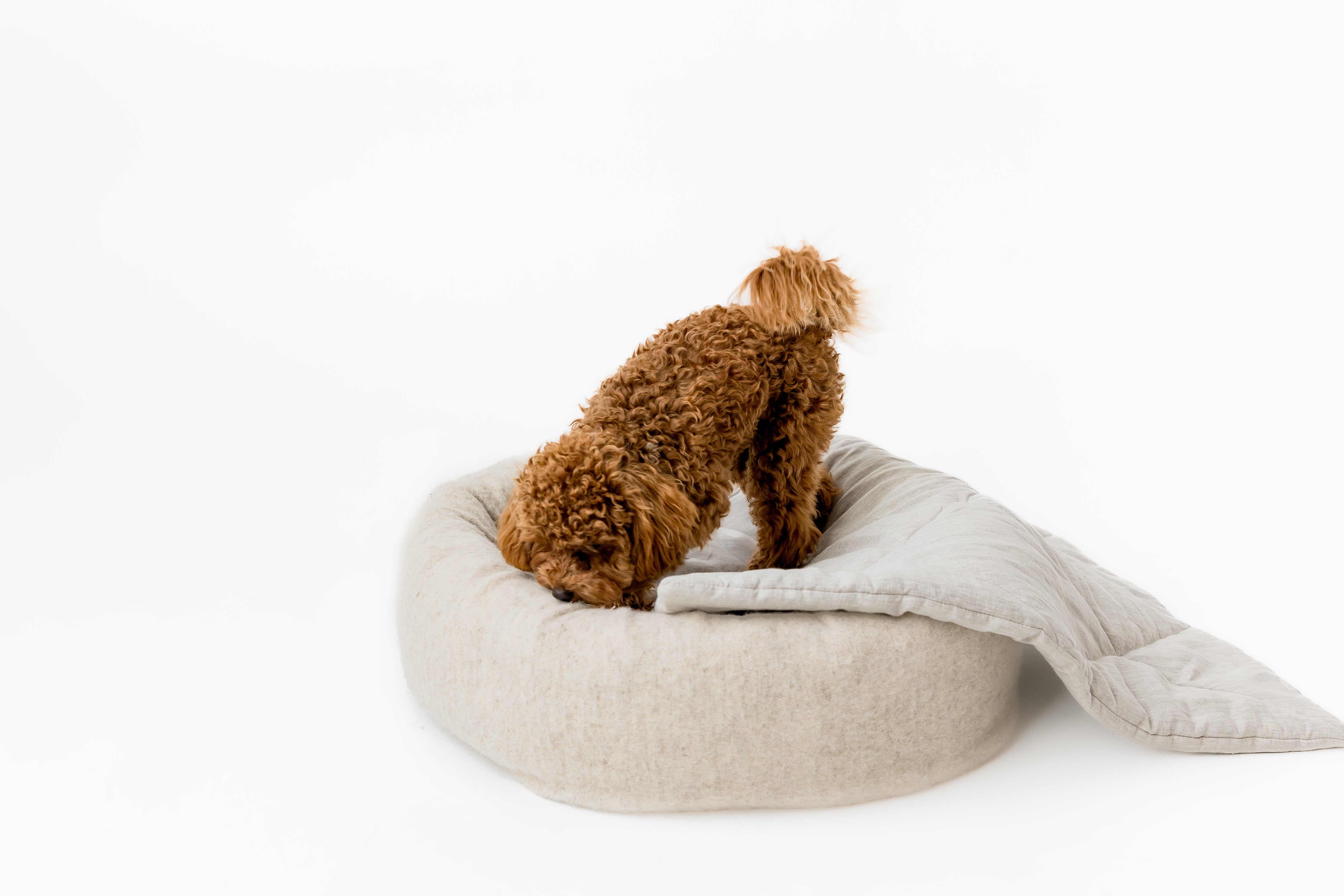HEMP DOG blanket filled HEMP Fiber in natural linen fabric dog blanket personalised for bed dog mat