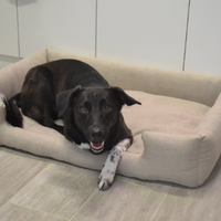 HEMP pet bed in natural non-dyed linen fabric filled organic HEMP Fiber - mat carpet - house for cats organic