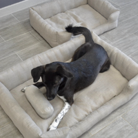40" x 40" (102 x 102 cm) Organic HEMP pet bed in natural non-dyed linen fabric filled organic HEMP Fiber