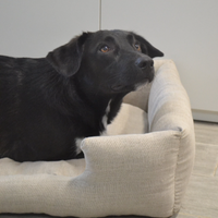 HEMP pet bed in natural non-dyed linen fabric filled organic HEMP Fiber - mat carpet - house for cats organic