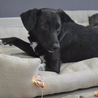 40" x 40" (102 x 102 cm) Organic HEMP pet bed in natural non-dyed linen fabric filled organic HEMP Fiber