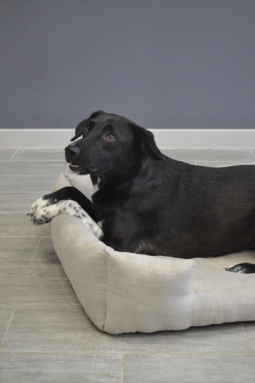 HEMP pet bed in natural non-dyed linen fabric filled organic HEMP Fiber - mat carpet - house for cats organic