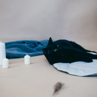 Round HEMP pet mat carpet filled HEMP Fiber rug /dog mat pad/ cat mat/organic dog mat pad/organic cat/ pet blanket