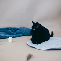 Round HEMP pet mat carpet filled HEMP Fiber rug /dog mat pad/ cat mat/organic dog mat pad/organic cat/ pet blanket