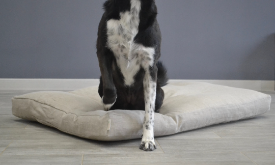 Hemp Linen pet mat pad mattress cushion with removable linen cover