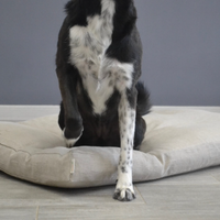 Hemp Linen pet mat pad mattress cushion with removable linen cover organic hemp fiber filler in non-dyed linen fabric