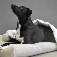 Hemp Linen pet mat pad mattress cushion with removable linen cover organic hemp fiber filler in non-dyed linen fabric