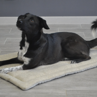 Unique HEMP pet mat carpet filled HEMP Fiber/dog mat pad/ cat mat/organic dog mat pad/organic cat/ pet blanket