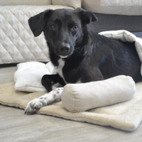 Unique HEMP pet mat carpet filled HEMP Fiber/dog mat pad/ cat mat/organic dog mat pad/organic cat/ pet blanket