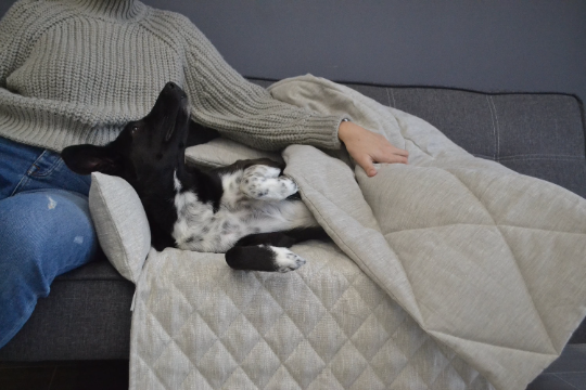 HEMP DOG blanket filled HEMP Fiber in natural linen fabric dog blanket personalised for bed dog mat