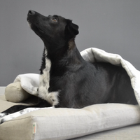 HEMP DOG blanket filled HEMP Fiber in natural linen fabric dog blanket personalised for bed dog mat