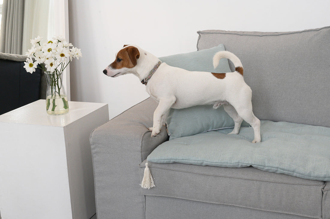 Hemp Linen Sofa Protector Covers for Dogs Cats Machine Washable Furniture Protectors Sofa & Couch Slipcovers Custom made sizes Sofa Topper