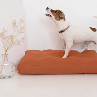 Natural Hemp Linen Pet Mat Pad Mattress Cushion Removable Washable Linen Cover Organic Hemp Fiber Filler in Natural Linen Fabric Padded Dog
