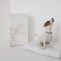 Hemp Linen pet mat pad mattress cushion with two removable White linen covers organic hemp fiber filler in white linen fabric