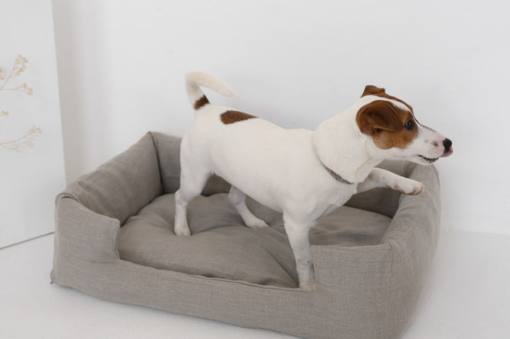 Elevating Pet Comfort and Sustainability: The Benefits of Hemp Pet Bedding from HempOrganicLife