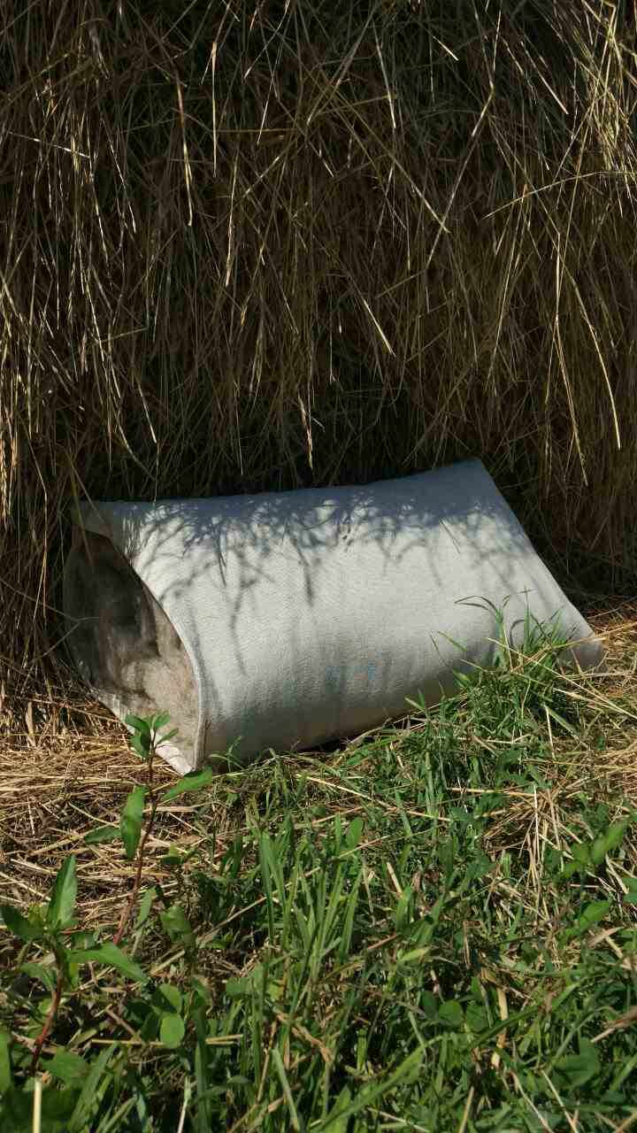 HEMP Pillow filled organic HEMP FIBER in hemp fabric with regulation height Hemp pillow