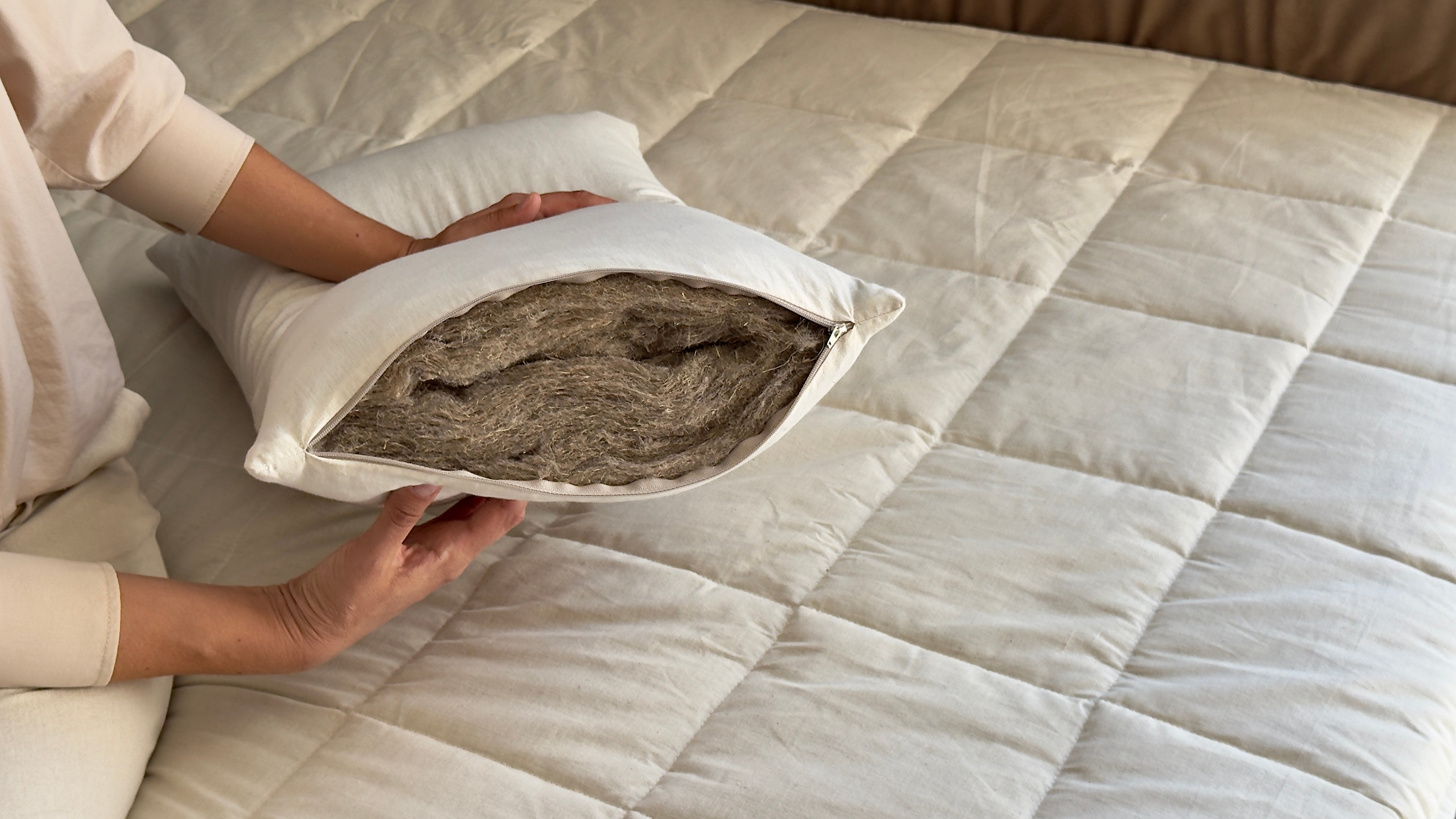 HEMP Pillow filled organic HEMP FIBER in natural Cotton fabric with regulation height