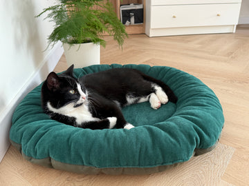 Round Hemp Green Pet Bed Cot Filled Organic Hemp Fiber in soft green 100% Cotton Velvet fabric house eco-friendly Gift for cat dog