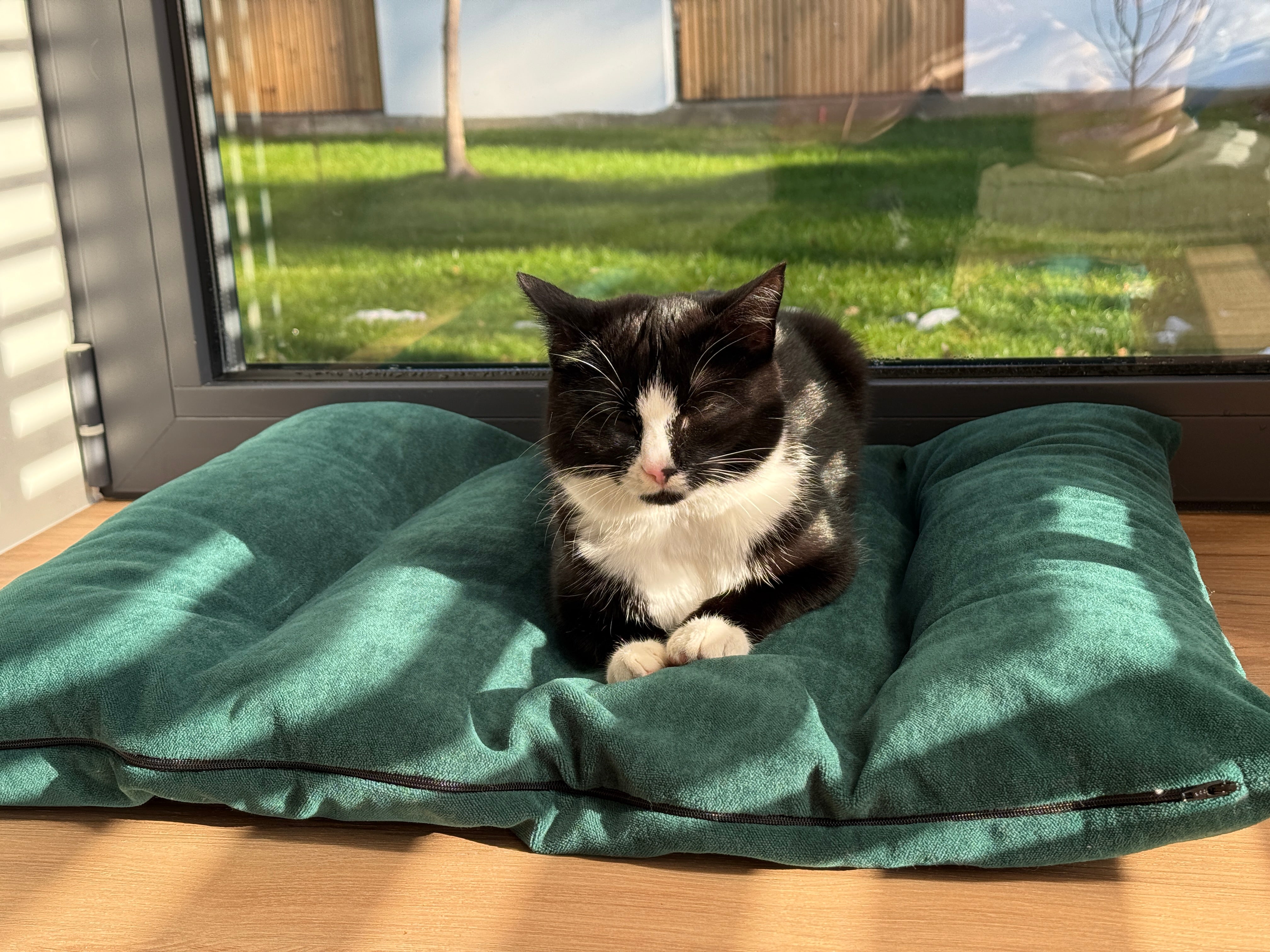20"x24" (50x60 cm) Hemp Pet Mat Pad Cushion with Removable Washable Cotton Green Velvet Cover filled Organic Hemp Fiber Filler