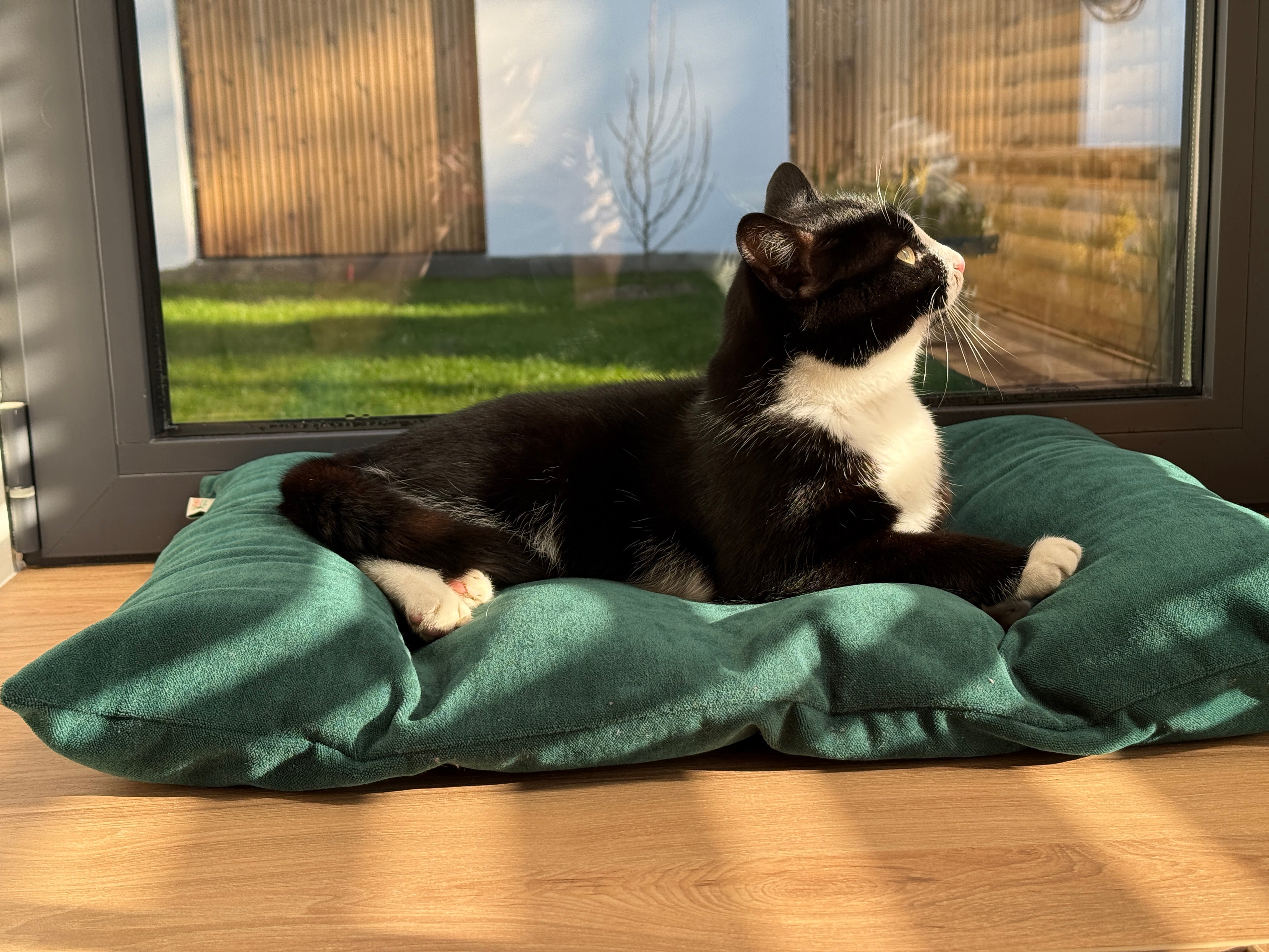 20"x24" (50x60 cm) Hemp Pet Mat Pad Cushion with Removable Washable Cotton Green Velvet Cover filled Organic Hemp Fiber Filler