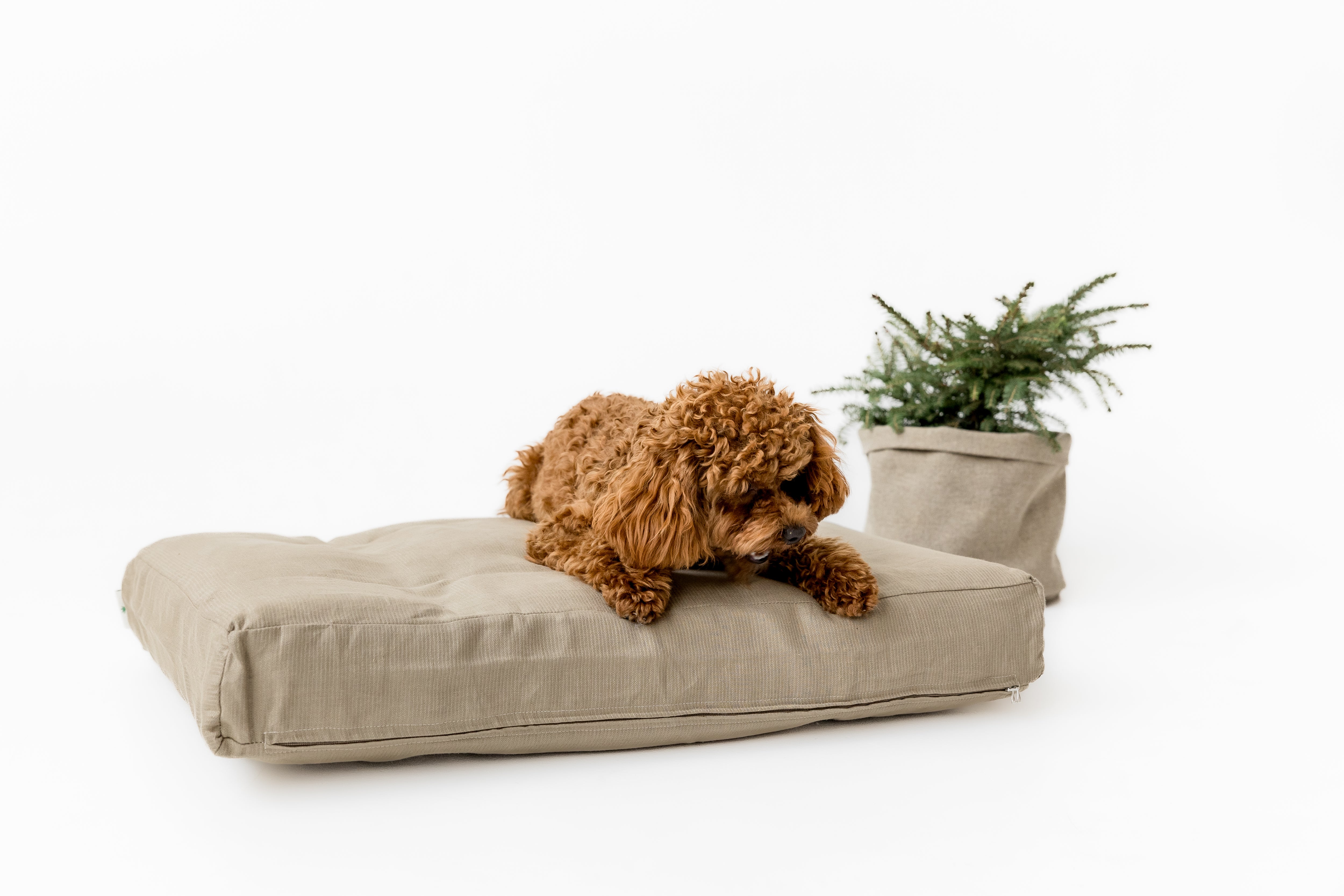 Hemp Linen Pet Mat Pad Cushion with Removable Linen Cover organic hemp fiber filler in non-dyed linen fabric