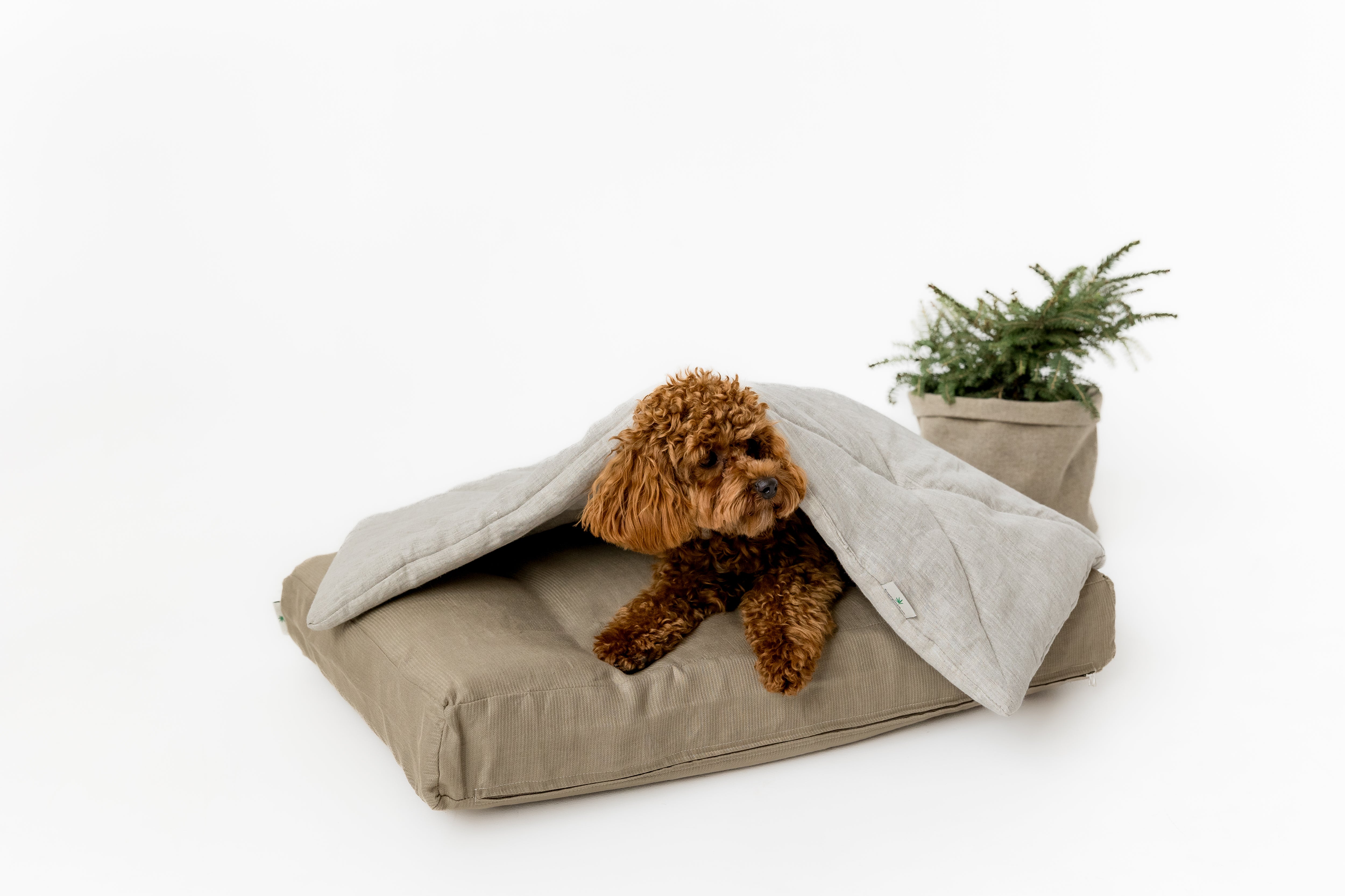 HEMP DOG blanket filled HEMP Fiber in natural linen fabric dog blanket personalised for bed dog mat