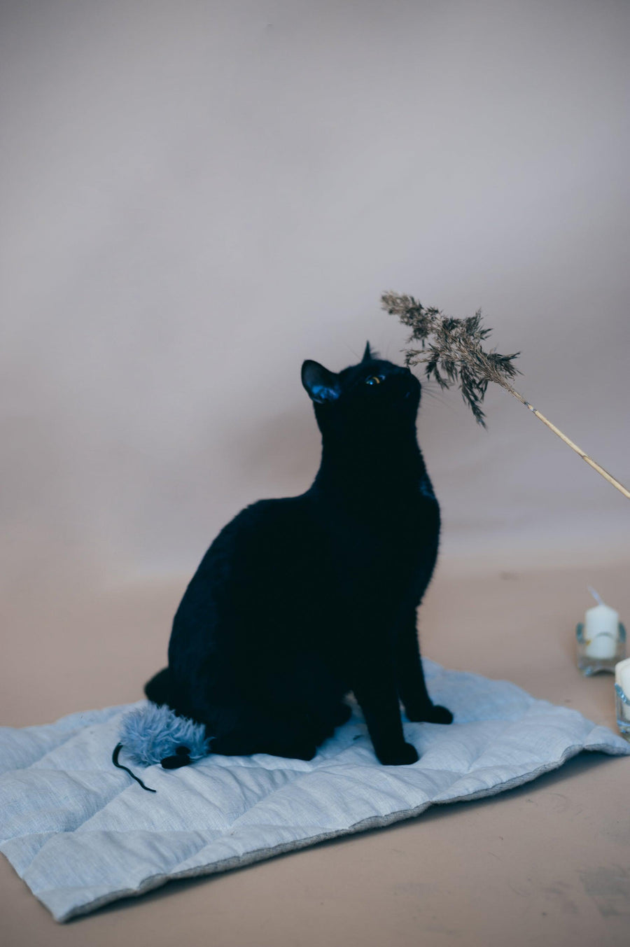 Unique HEMP pet mat carpet filled HEMP Fiber/dog mat pad/ cat mat/organic dog mat pad/organic cat/ pet blanket