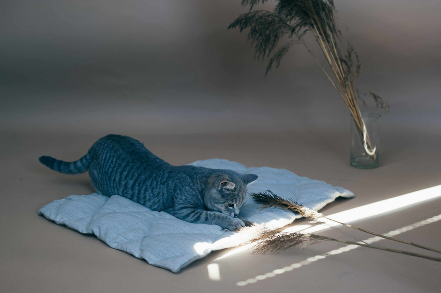 Unique HEMP pet mat carpet filled HEMP Fiber/dog mat pad/ cat mat/organic dog mat pad/organic cat/ pet blanket