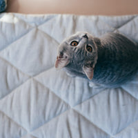 Unique HEMP pet mat carpet filled HEMP Fiber/dog mat pad/ cat mat/organic dog mat pad/organic cat/ pet blanket