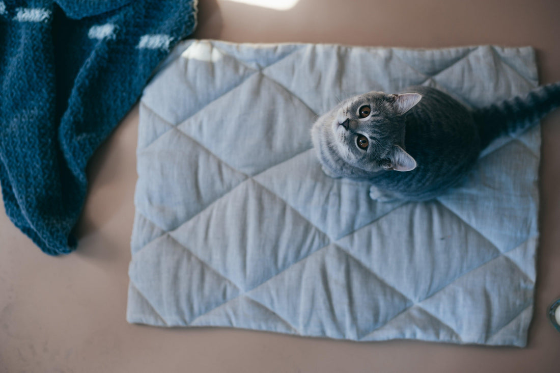 Unique HEMP pet mat carpet filled HEMP Fiber/dog mat pad/ cat mat/organic dog mat pad/organic cat/ pet blanket