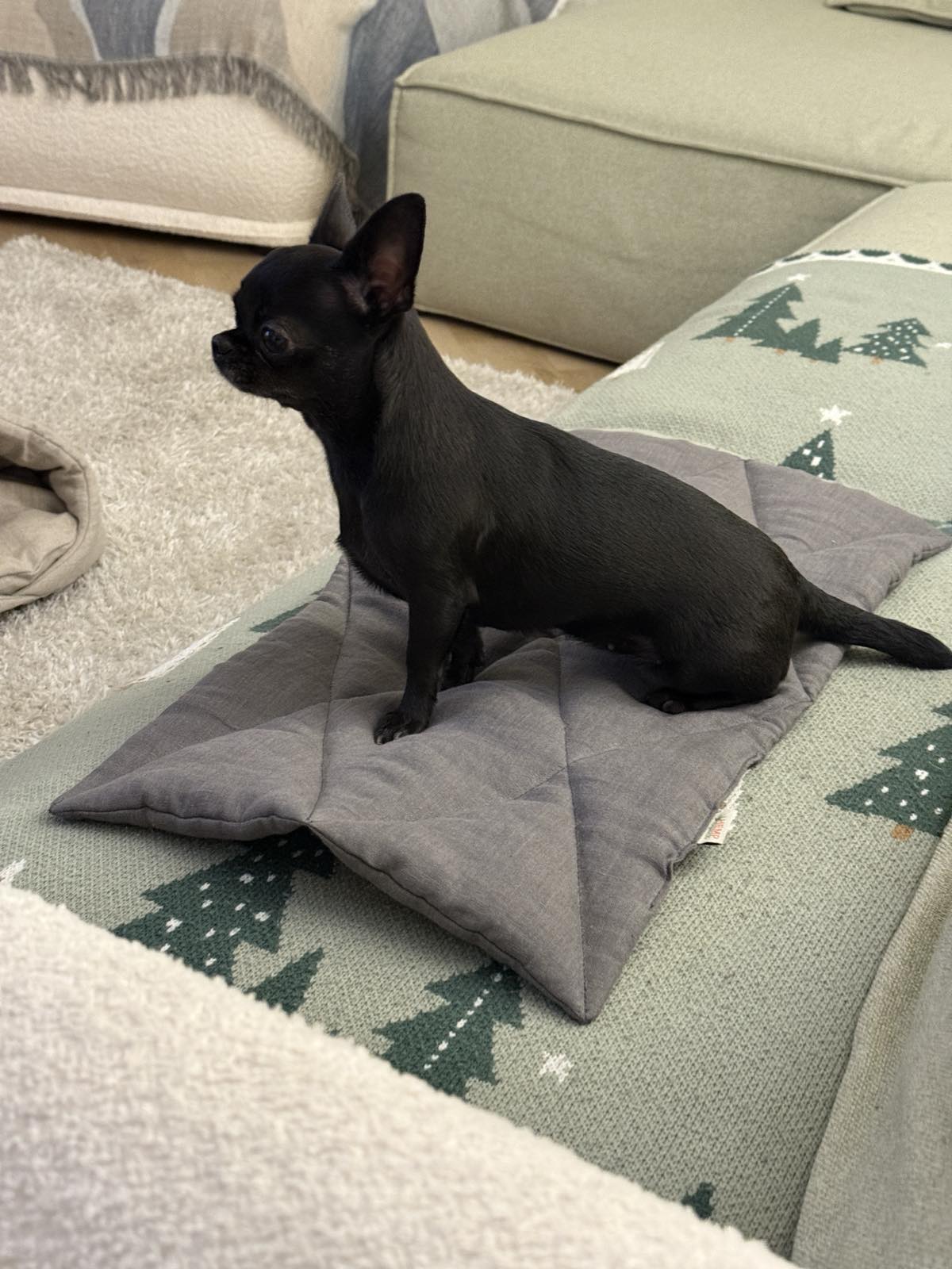 11.5" x 23.5" (30 x 60 cm) Thin HEMP pet mat carpet filled HEMP Fiber rug /dog mat / cat mat/organic dog mat /organic cat/ pet mat