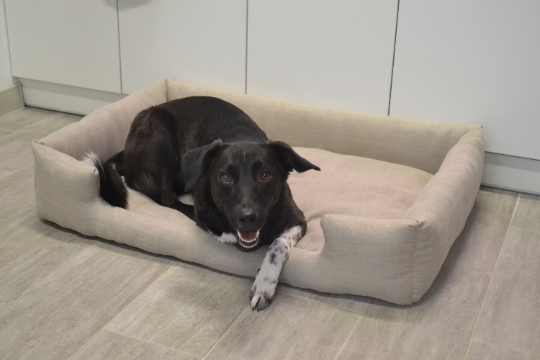 HEMP pet bed in natural non-dyed linen fabric filled organic HEMP Fiber - mat carpet - house for cats organic