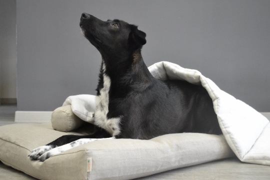 Hemp Linen pet mat pad mattress cushion with removable linen cover organic hemp fiber filler in non-dyed linen fabric