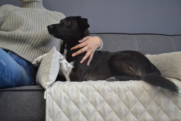 Comfortable Hemp Linen Pet Mats and Natural Beds Create a