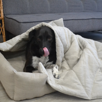 HEMP DOG blanket filled HEMP Fiber in natural linen fabric dog blanket personalised for bed dog mat