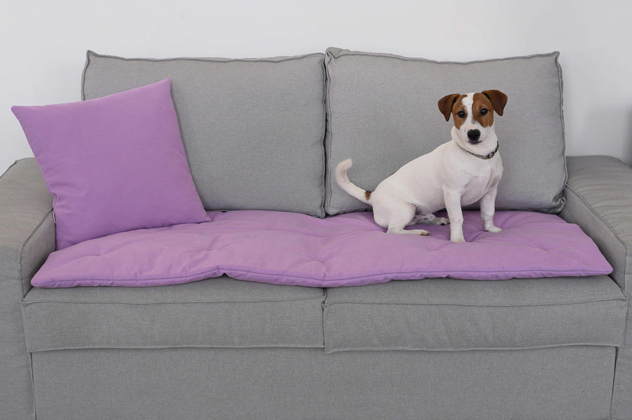 Sofa Toppers: What They Are And Why You Need One