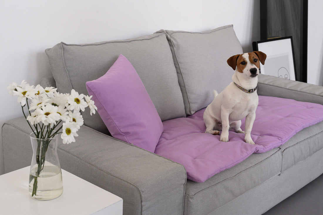 Hemp Furniture Protectors Sofa Couch Slipcovers Custom made sizes Seat –  HempOrganicLife