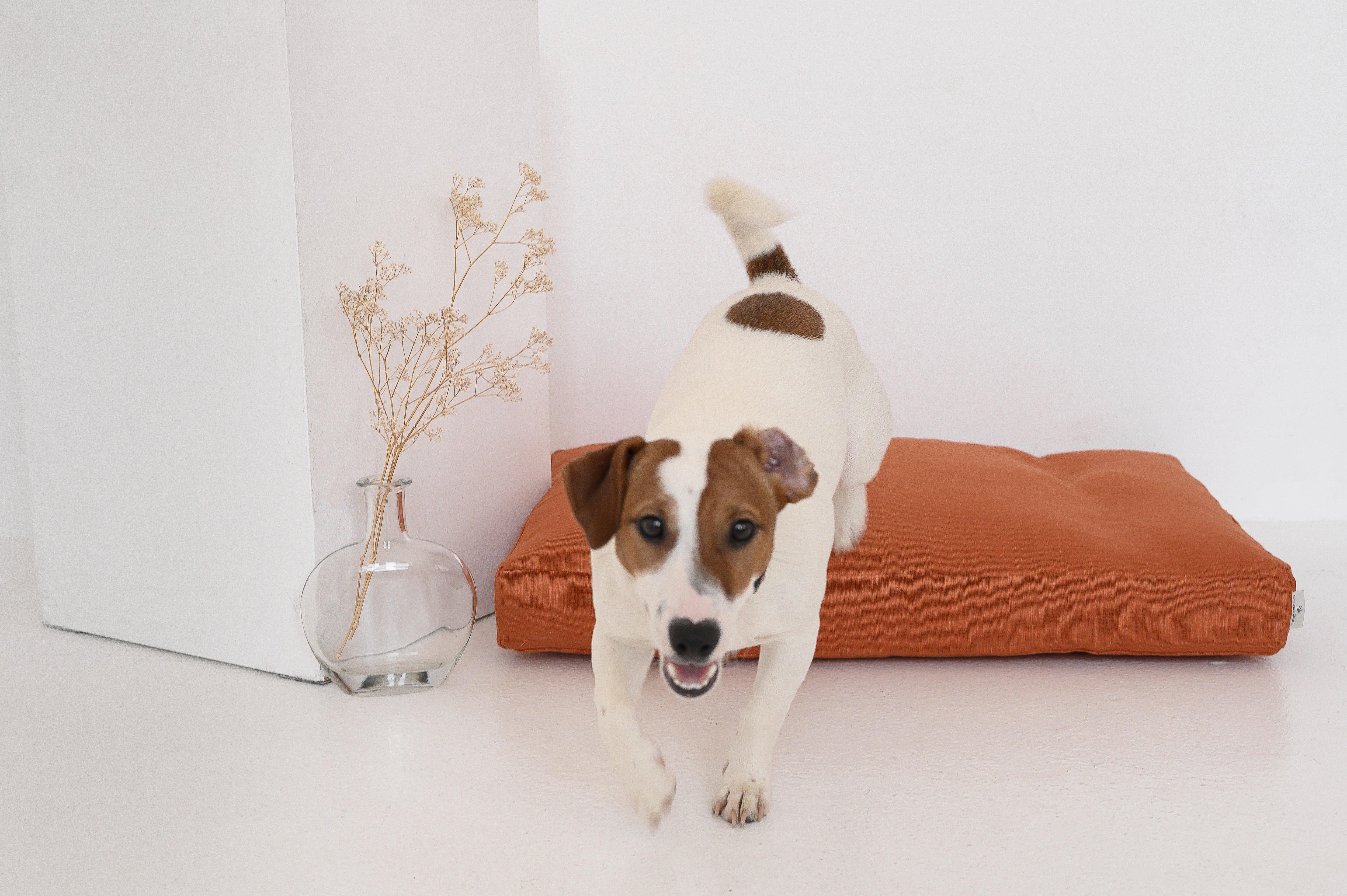 Natural Hemp Linen Pet Mat Pad Mattress Cushion Removable Washable Linen Cover Organic Hemp Fiber Filler in Natural Linen Fabric Padded Dog